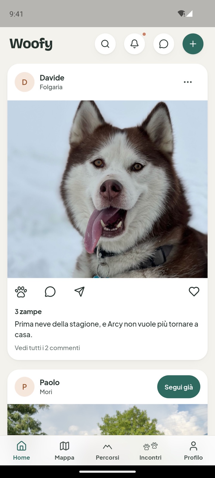 Il feed di Woofy: Davide pubblica una foto di Arcy, un husky, nella neve di Folgaria